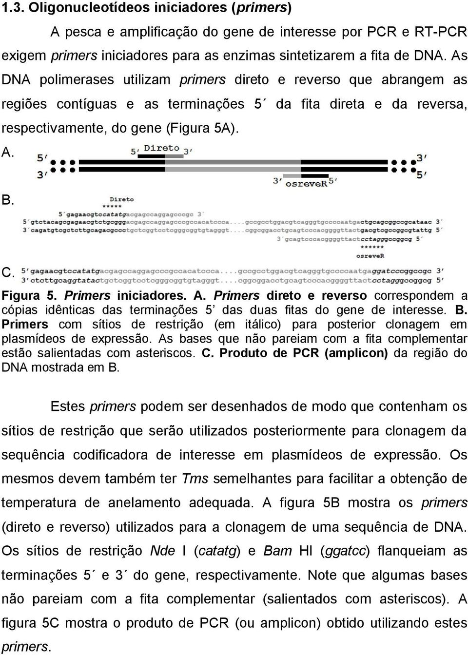 Primers iniciadores. A. Primers direto e reverso correspondem a cópias idênticas das terminações 5 das duas fitas do gene de interesse. B.