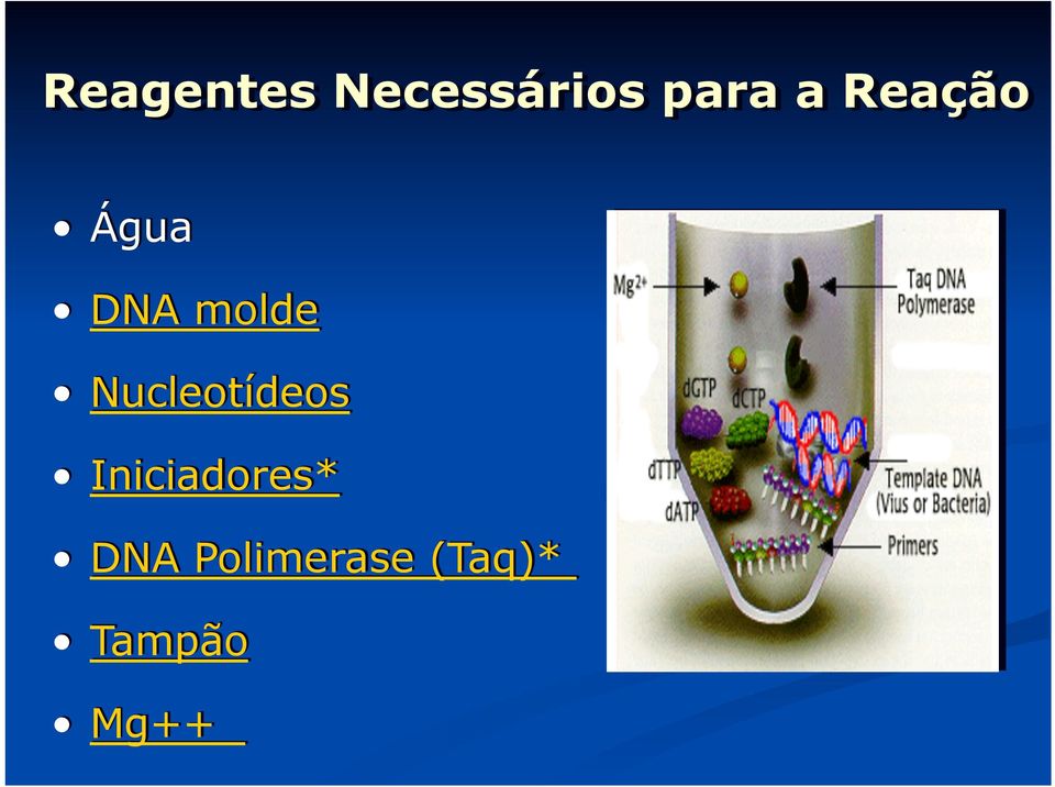 Nucleotídeos Iniciadores*