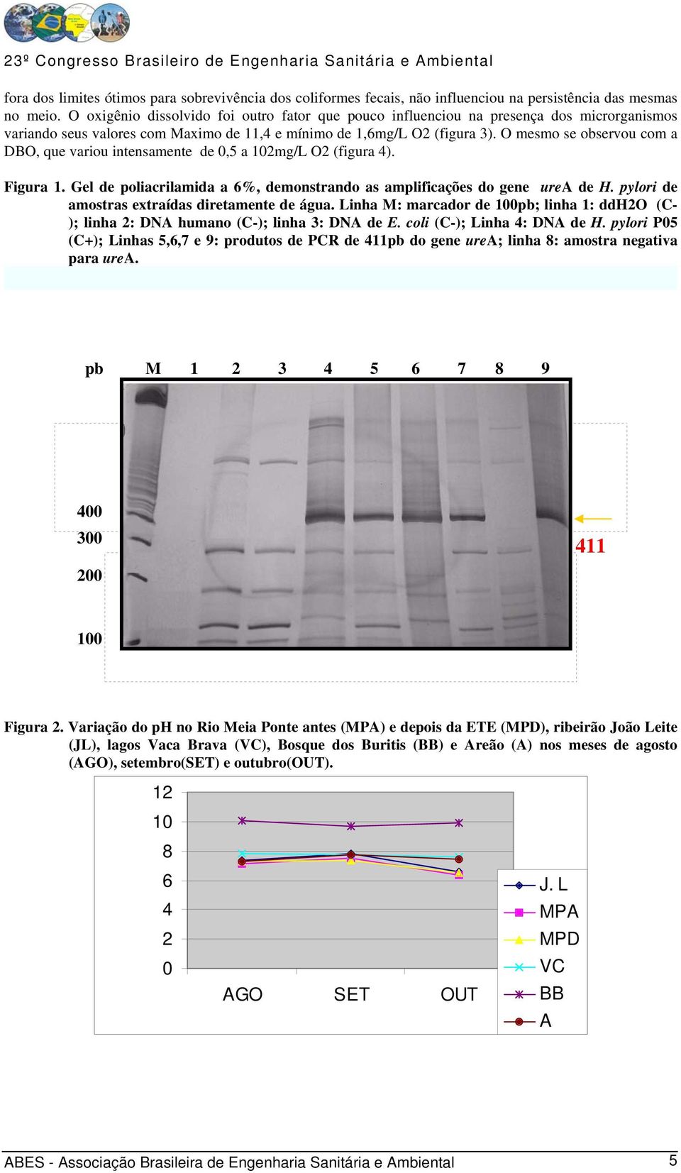O mesmo se observou com a DBO, que variou intensamente de 0,5 a 102mg/L O2 (figura 4). Figura 1. Gel de poliacrilamida a 6%, demonstrando as amplificações do gene urea de H.