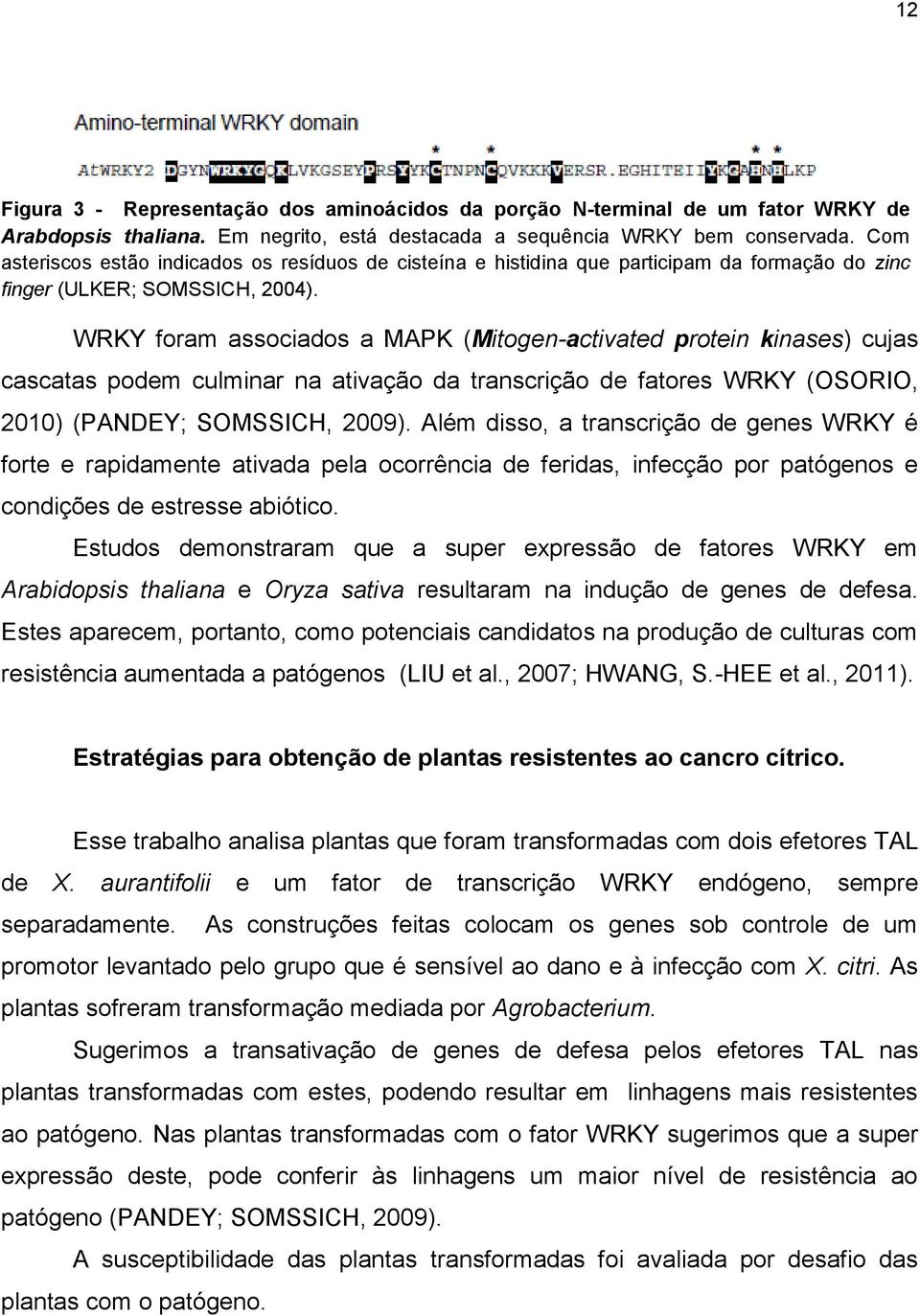 WRKY foram associados a MAPK (Mitogen-activated protein kinases) cujas cascatas podem culminar na ativação da transcrição de fatores WRKY (OSORIO, 2010) (PANDEY; SOMSSICH, 2009).