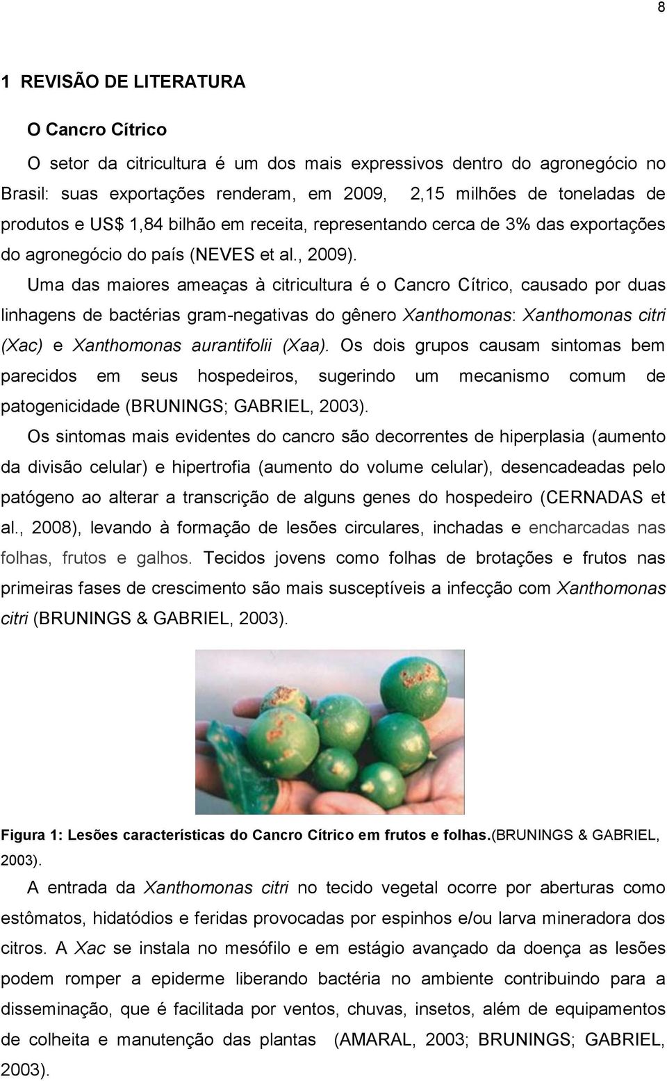 Uma das maiores ameaças à citricultura é o Cancro Cítrico, causado por duas linhagens de bactérias gram-negativas do gênero Xanthomonas: Xanthomonas citri (Xac) e Xanthomonas aurantifolii (Xaa).