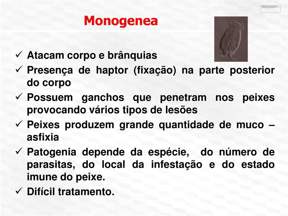 Peixes produzem grande quantidade de muco asfixia Patogenia depende da espécie, do