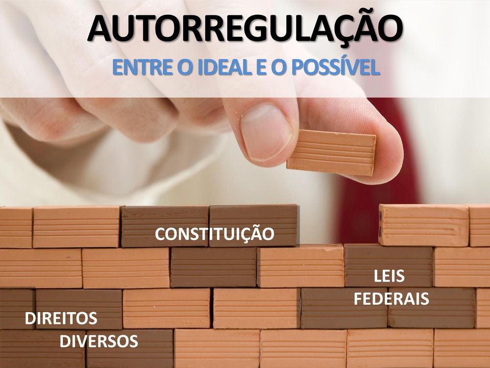 CONSTITUIÇÃO DIREITOS