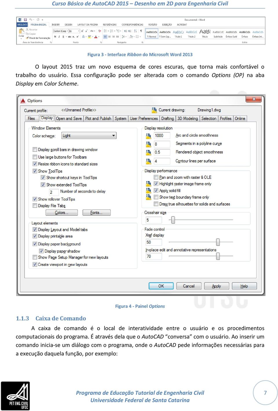 1.3 Caixa de Comando Figura 4 - Painel Options A caixa de comando é o local de interatividade entre o usuário e os procedimentos computacionais do