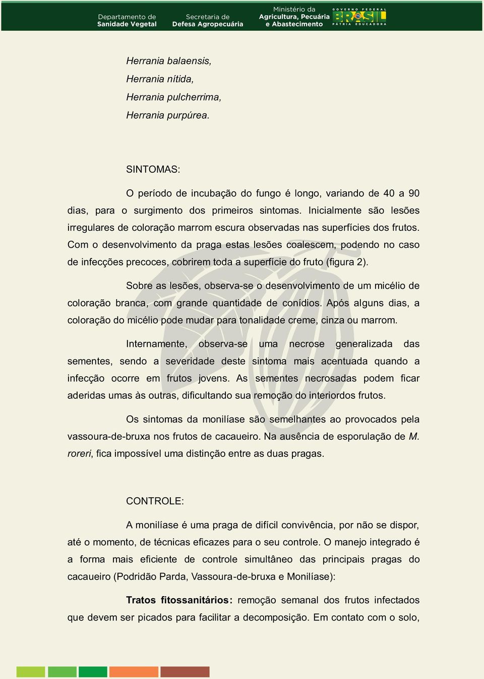 Com o desenvolvimento da praga estas lesões coalescem, podendo no caso de infecções precoces, cobrirem toda a superfície do fruto (figura 2).