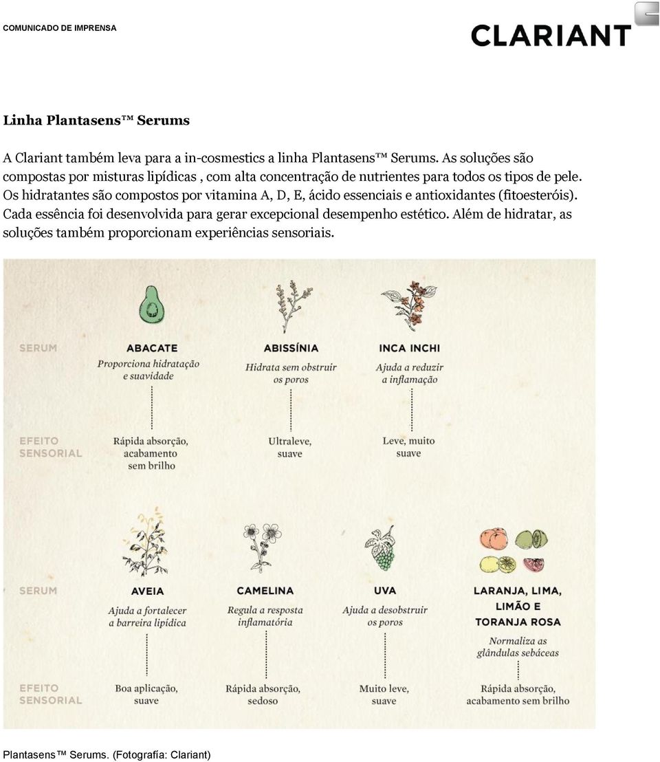 Os hidratantes são compostos por vitamina A, D, E, ácido essenciais e antioxidantes (fitoesteróis).