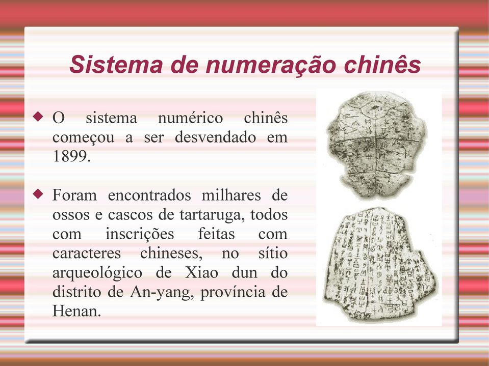 Foram encontrados milhares de ossos e cascos de tartaruga, todos com