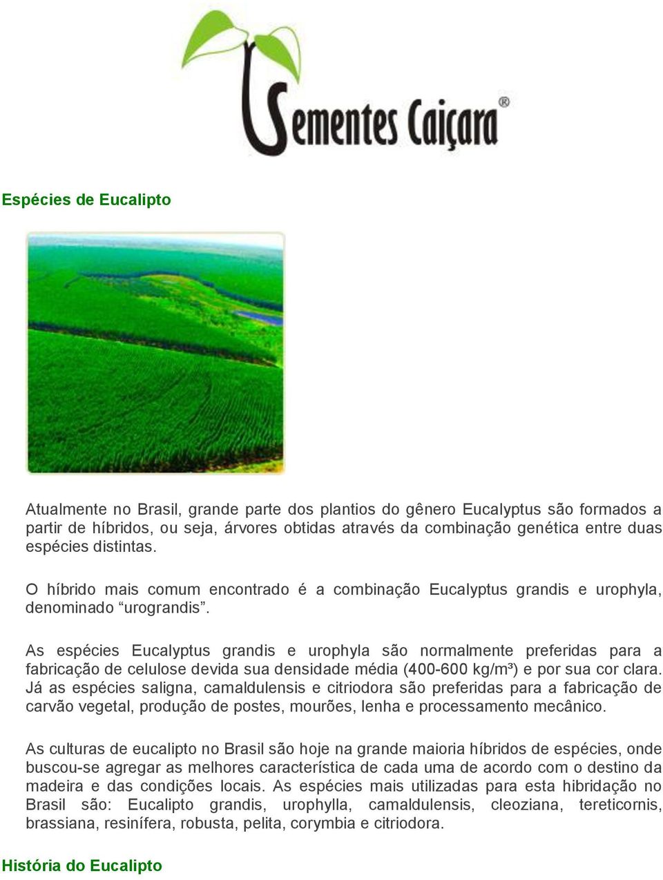 As espécies Eucalyptus grandis e urophyla são normalmente preferidas para a fabricação de celulose devida sua densidade média (400-600 kg/m³) e por sua cor clara.