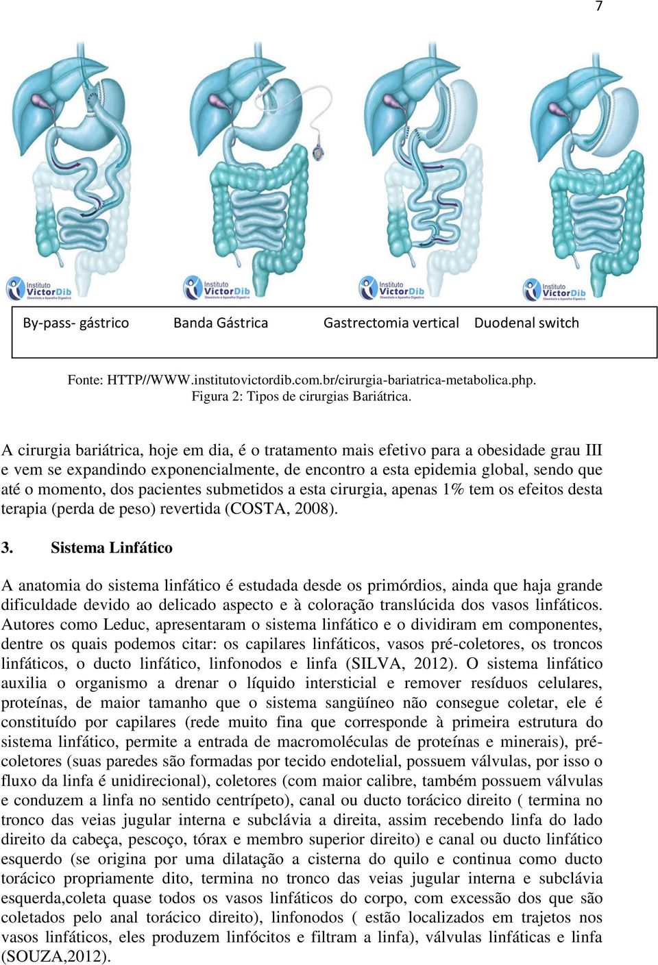 pacientes submetidos a esta cirurgia, apenas 1% tem os efeitos desta terapia (perda de peso) revertida (COSTA, 2008). 3.