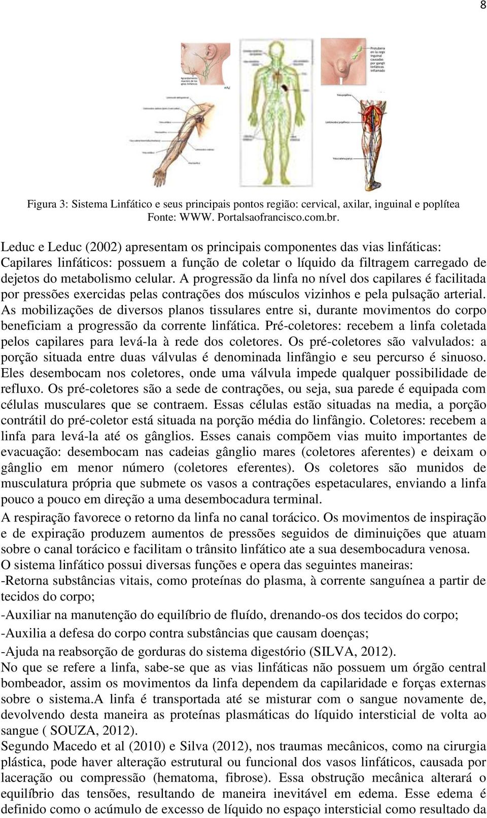 A progressão da linfa no nível dos capilares é facilitada por pressões exercidas pelas contrações dos músculos vizinhos e pela pulsação arterial.