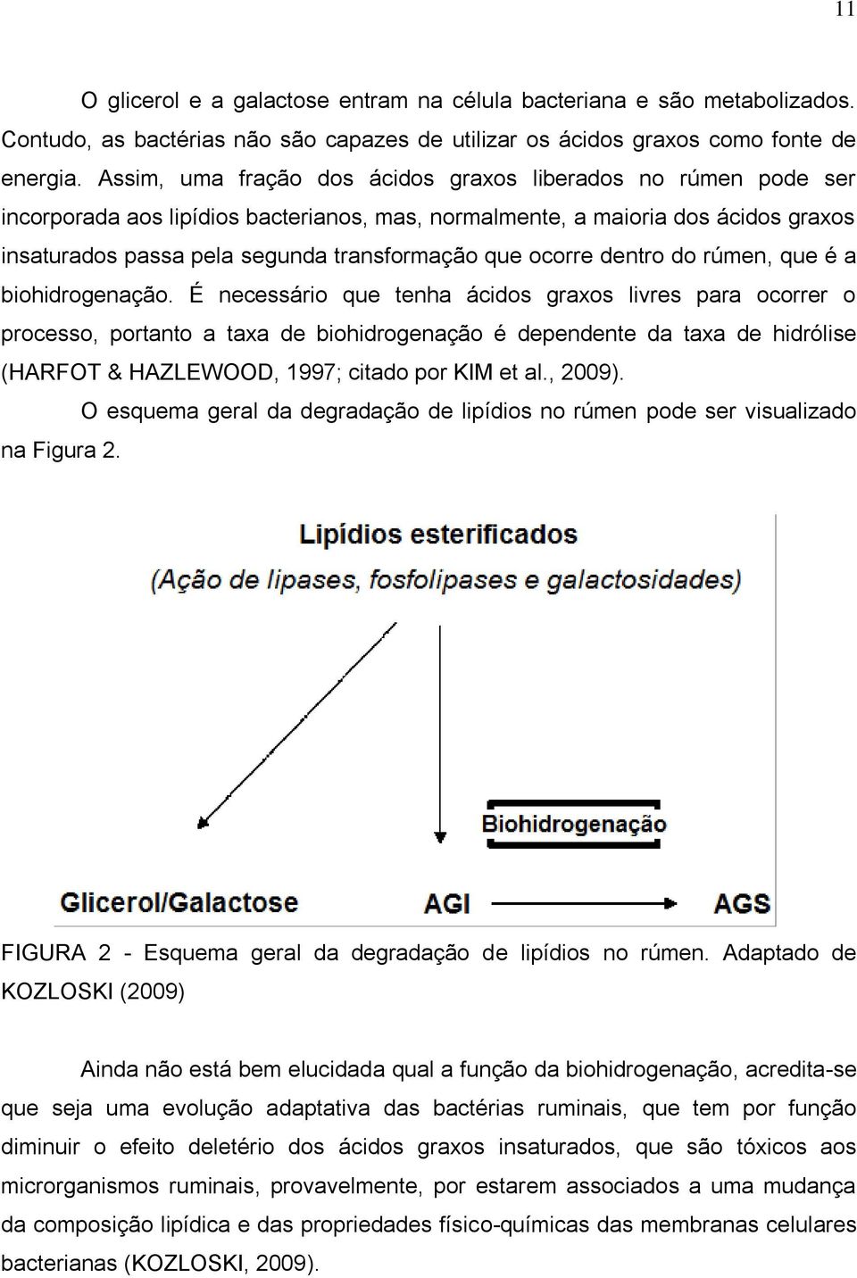 ocorre dentro do rúmen, que é a biohidrogenação.