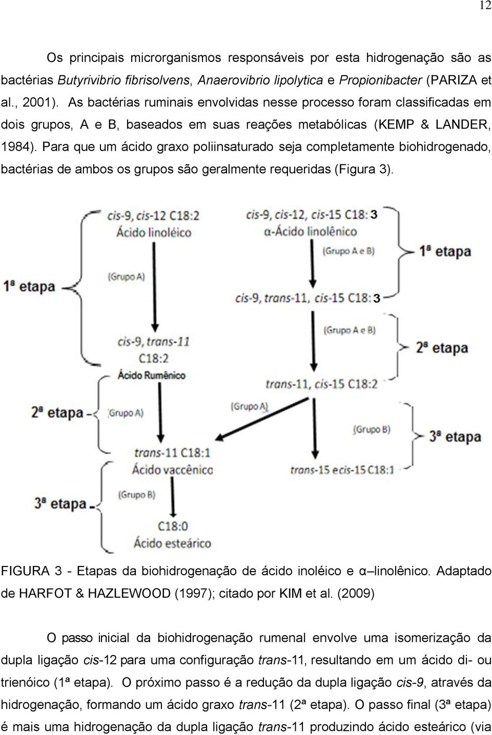 Para que um ácido graxo poliinsaturado seja completamente biohidrogenado, bactérias de ambos os grupos são geralmente requeridas (Figura 3).