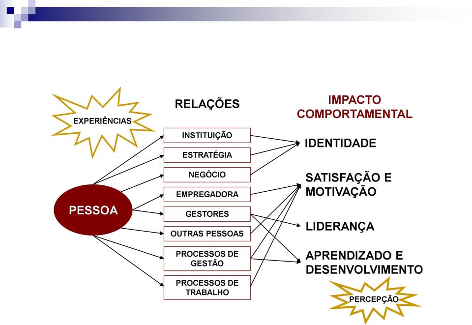 PROCESSOS DE TRABALHO IMPACTO COMPORTAMENTAL IDENTIDADE