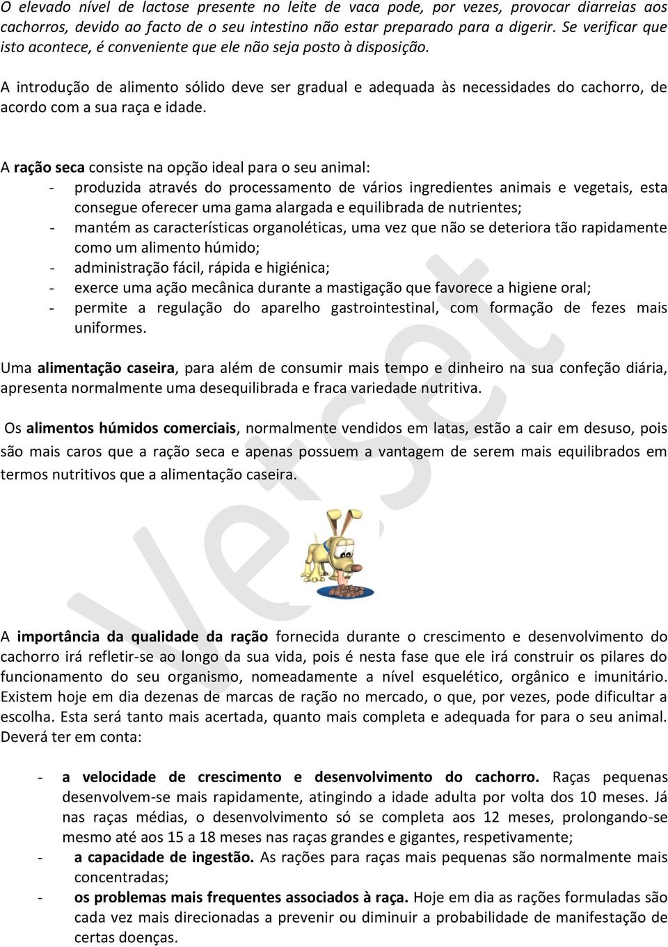 A introdução de alimento sólido deve ser gradual e adequada às necessidades do cachorro, de acordo com a sua raça e idade.