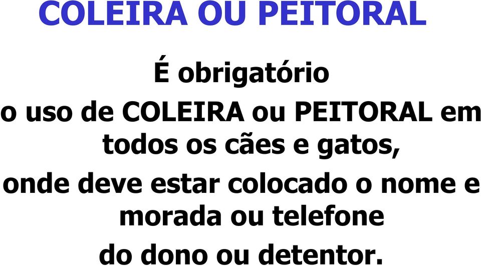 e gatos, onde deve estar colocado o nome