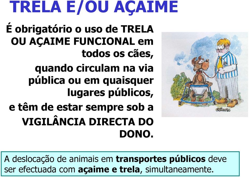 têm de estar sempre sob a VIGILÂNCIA DIRECTA DO DONO.