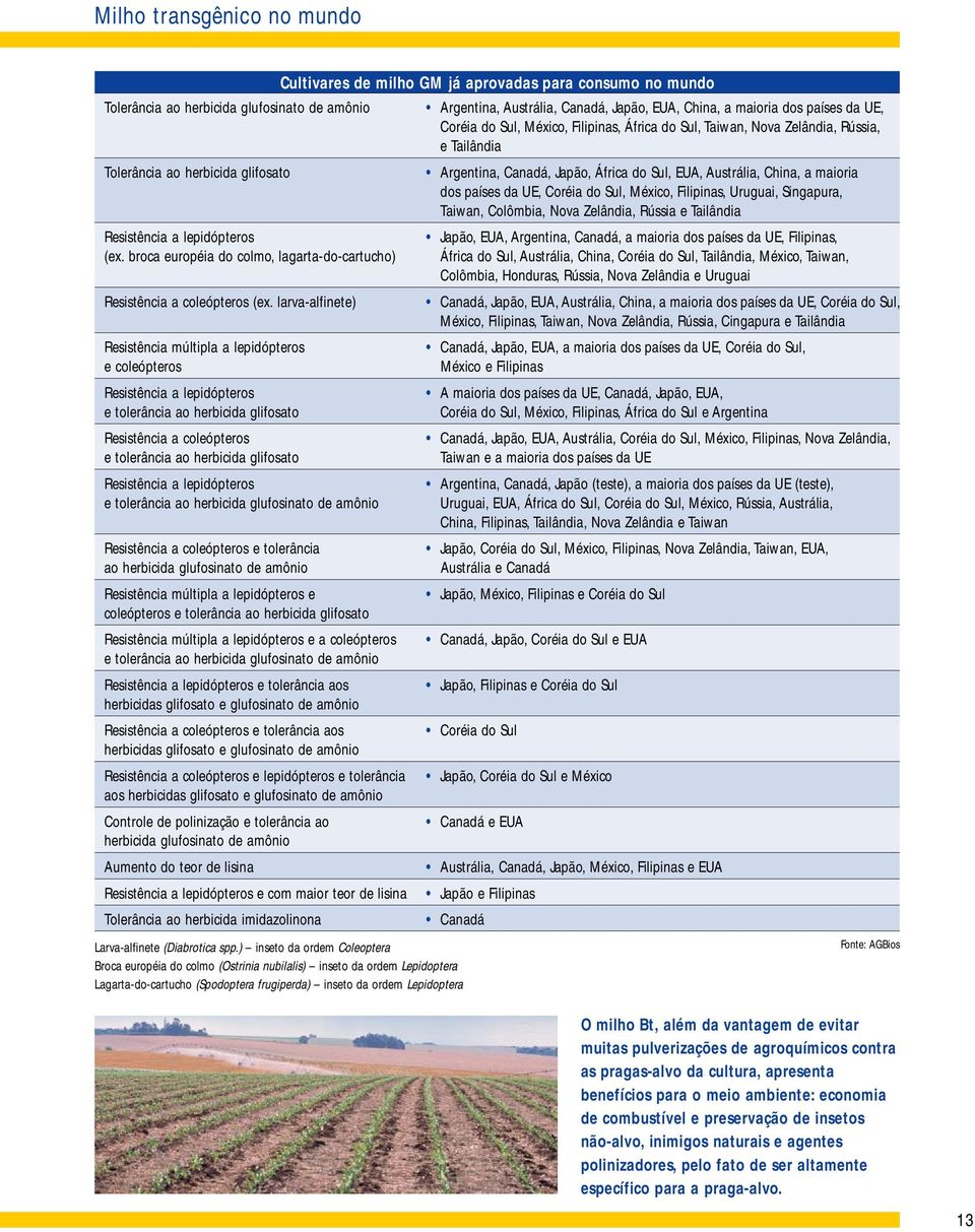 larva-alfinete) Resistência múltipla a lepidópteros e coleópteros Resistência a lepidópteros e tolerância ao herbicida glifosato Resistência a coleópteros e tolerância ao herbicida glifosato