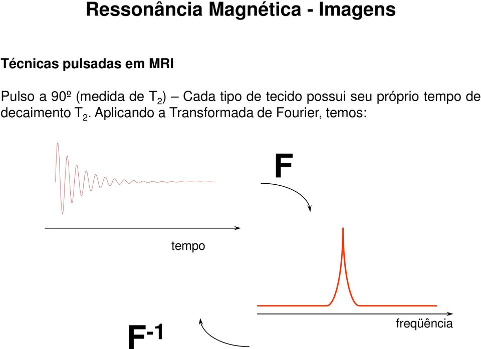 possui seu próprio tempo de decaimento T 2.