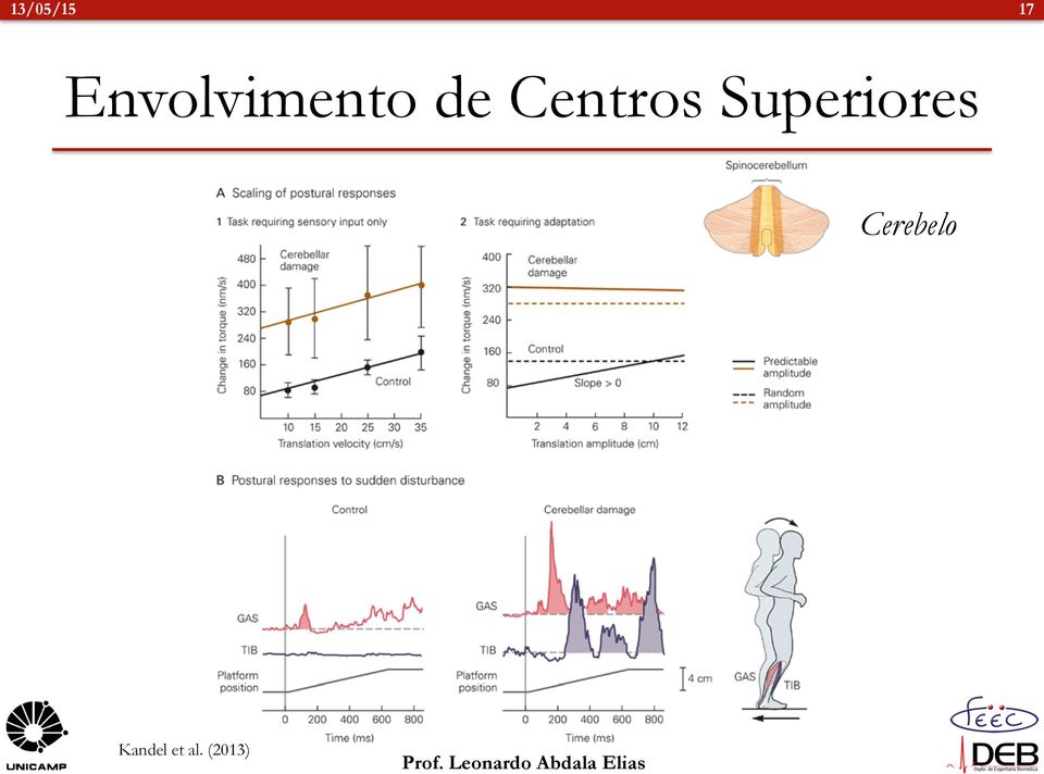 Centros Superiores