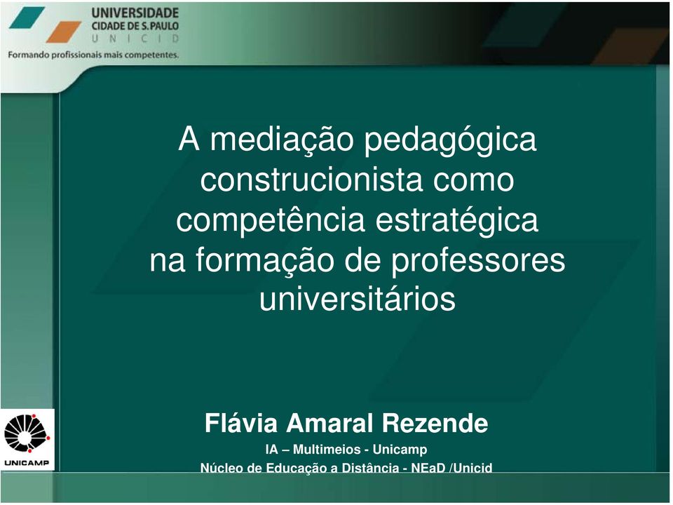 professores universitários Flávia Amaral Rezende