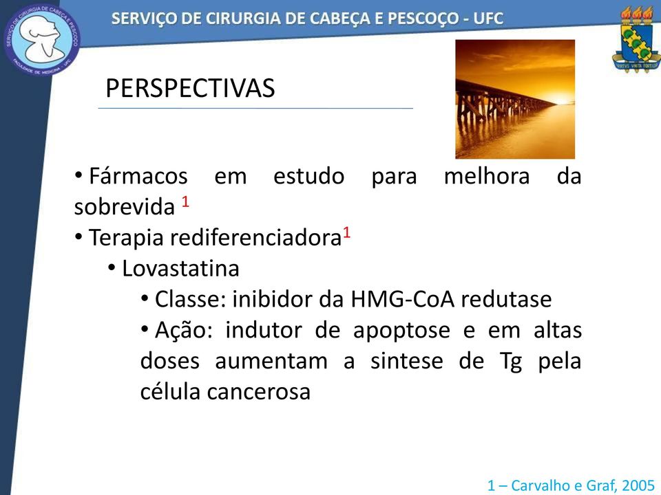 Classe: inibidor da HMG-CoA redutase Ação: indutor de apoptose