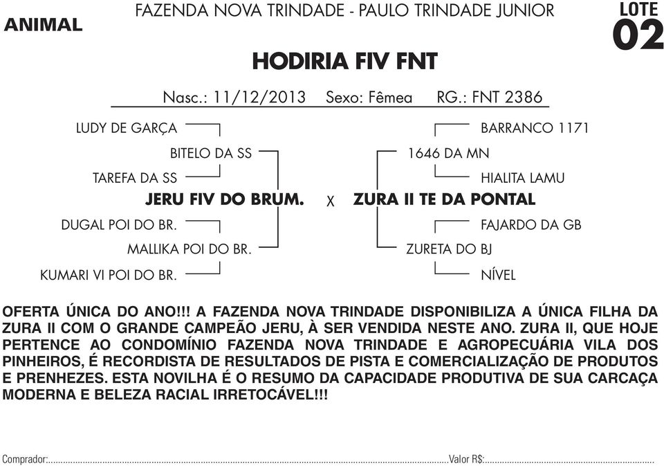 !! A FAZENDA NOVA TRINDADE DISPONIBILIZA A ÚNICA FILHA DA ZURA II COM O GRANDE CAMPEÃO JERU, À SER VENDIDA NESTE ANO.