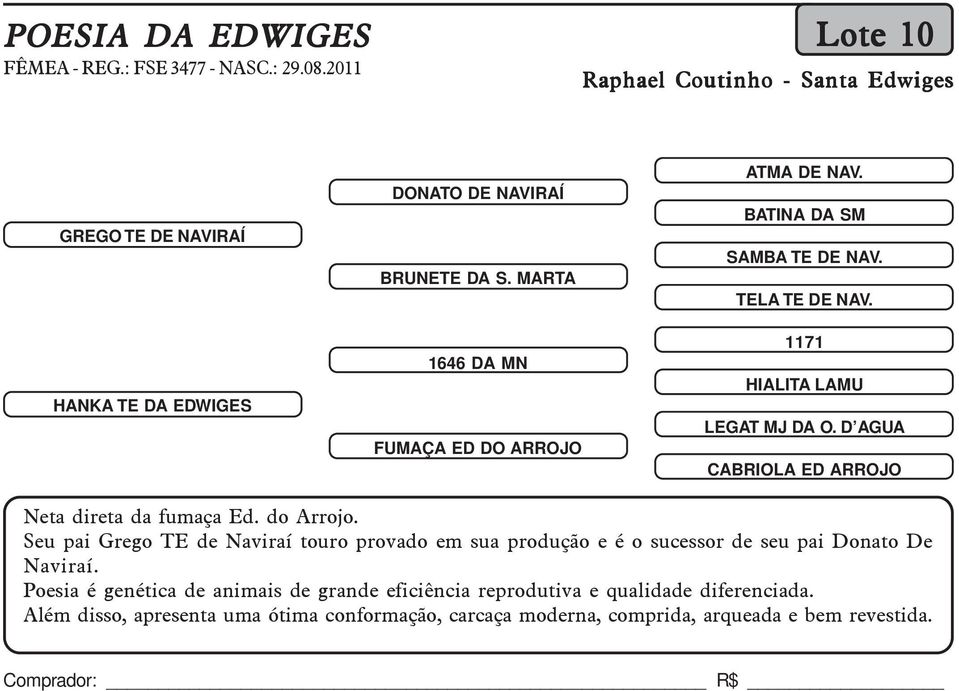 D AGUA CABRIOLA ED ARROJO Neta direta da fumaça Ed. do Arrojo.