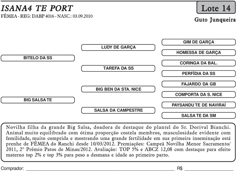 NICE PAYSANDU TE DE NAVIRAÍ SALSA TE DA SM Novilha filha da grande Big Salsa, doadora de destaque do plantel do Sr. Dorival Bianchi.