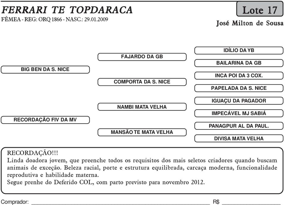 NICE IGUAÇU DA PAGADOR IMPECÁVEL MJ SABIÁ PANAGPUR AL DA PAUL. DIVISA MATA VELHA RECORDAÇÃO!