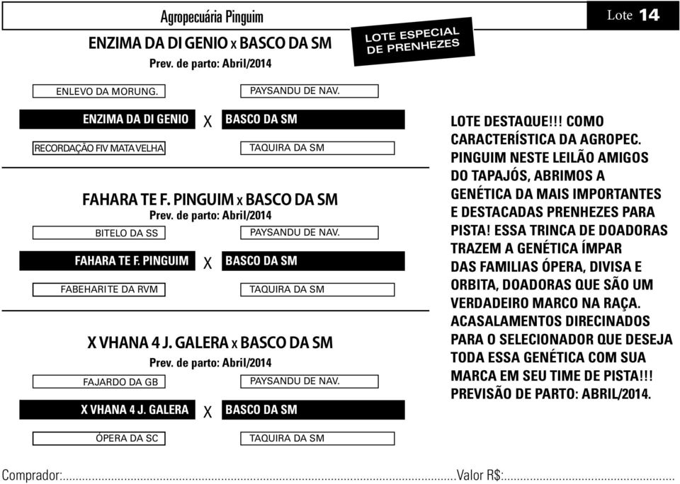 de parto: Abril/2014 X Vhana 4 J. Galera PAYSANDU DE NAV. Basco da SM TAQUIRA DA SM X Vhana 4 J. Galera Basco da SM Prev. de parto: Abril/2014 PAYSANDU DE NAV. Basco da SM LOTE DESTAQUE!