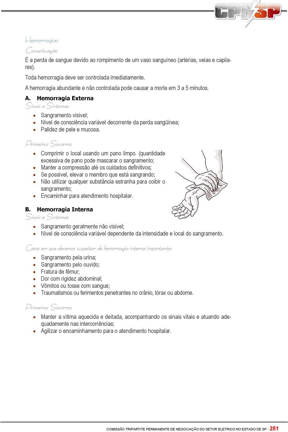 Hemorragia Externa Sangramento visível; Nível de consciência variável decorrente da perda sangüínea; Palidez de pele e mucosa. Comprimir o local usando um pano limpo.