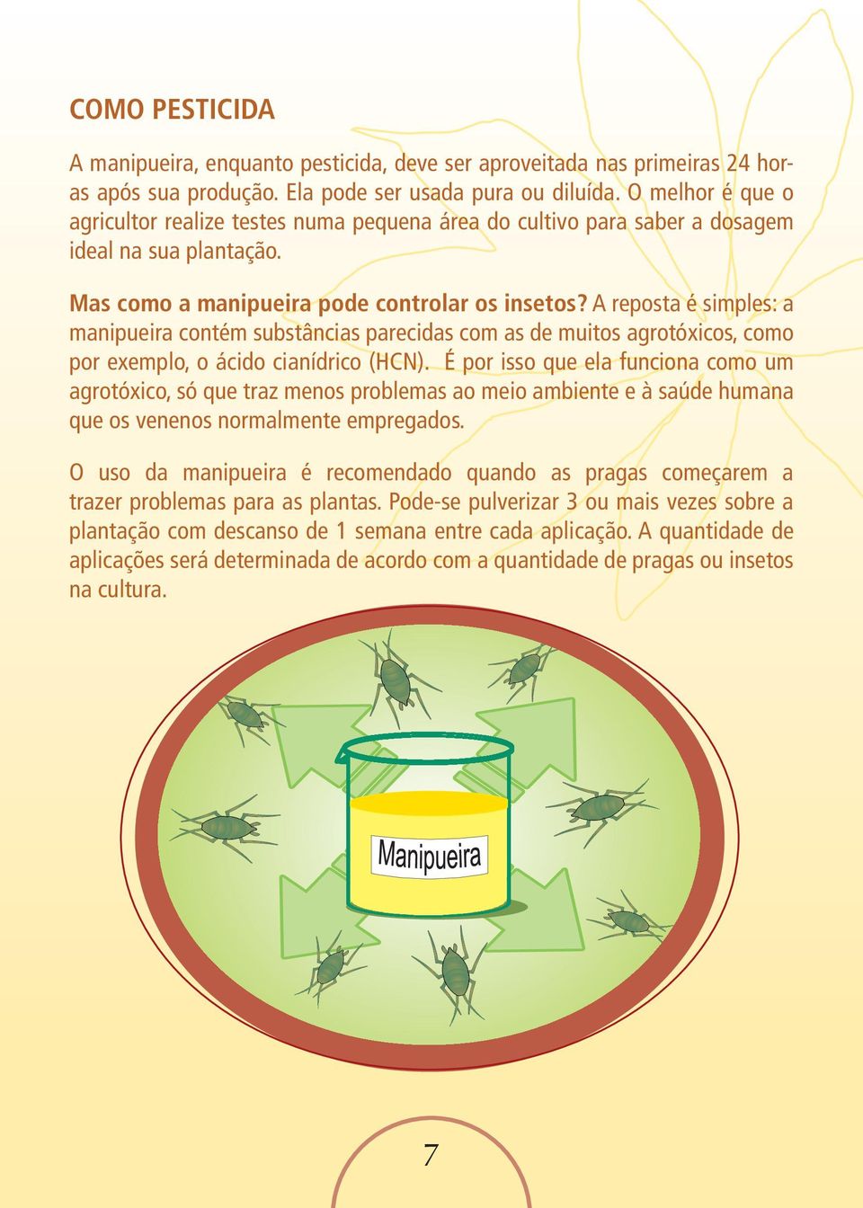 A reposta é simples: a manipueira contém substâncias parecidas com as de muitos agrotóxicos, como por exemplo, o ácido cianídrico (HCN).