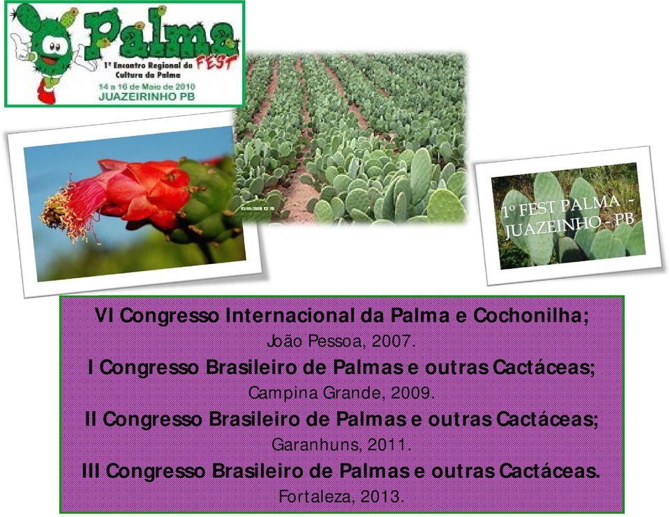 2009. II Congresso Brasileiro de Palmas e outras Cactáceas; Garanhuns,