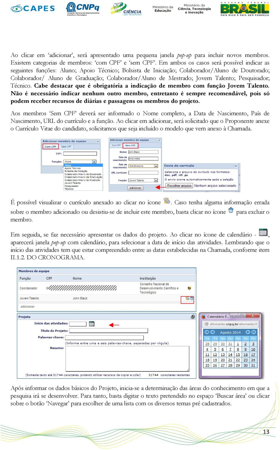 Mestrado; Jovem Talento; Pesquisador; Técnico. Cabe destacar que é obrigatória a indicação de membro com função Jovem Talento.