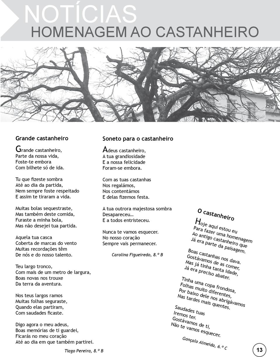 Soneto para o castanheiro Adeus castanheiro, A tua grandiosidade E a nossa felicidade Foram-se embora. Com as tuas castanhas Nos regalámos, Nos contentámos E delas fizemos festa.