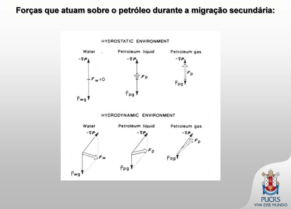 petróleo