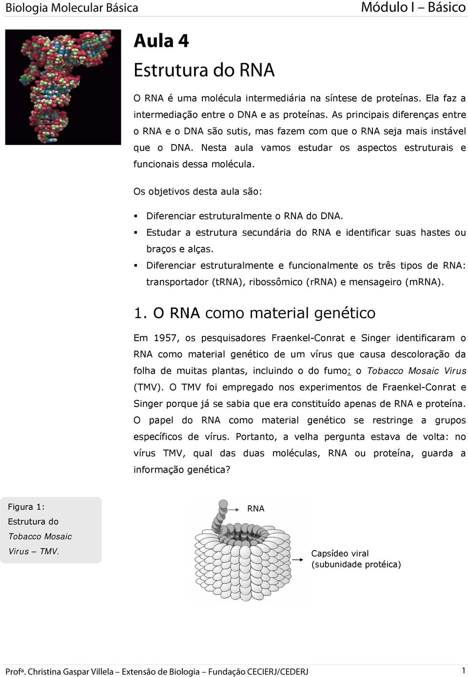 Os objetivos desta aula são: Diferenciar estruturalmente o RNA do DNA. Estudar a estrutura secundária do RNA e identificar suas hastes ou braços e alças.