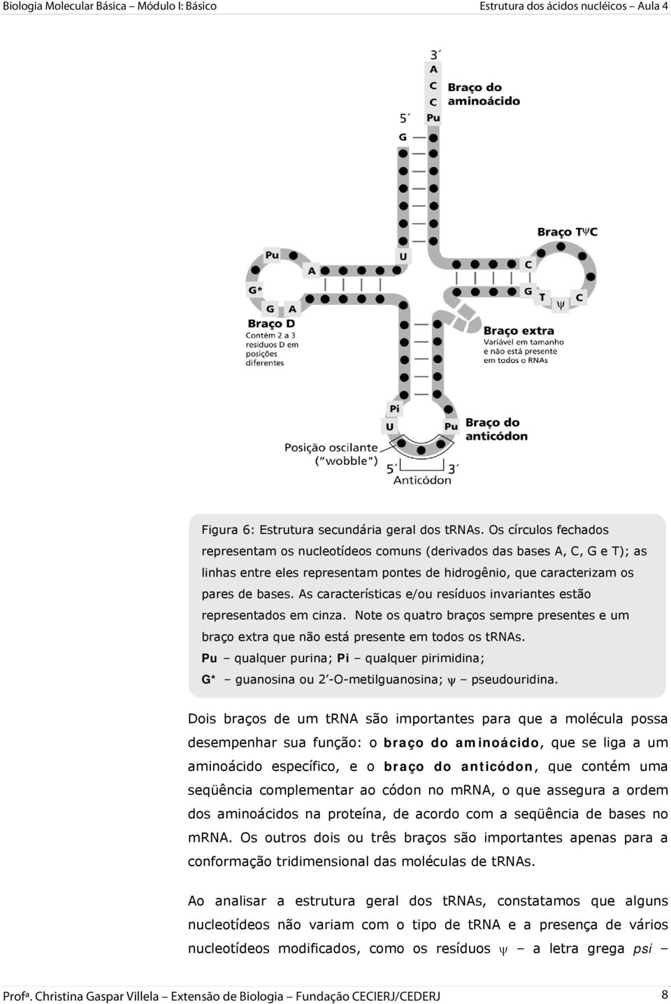 As características e/ou resíduos invariantes estão representados em cinza. Note os quatro braços sempre presentes e um braço extra que não está presente em todos os trnas.