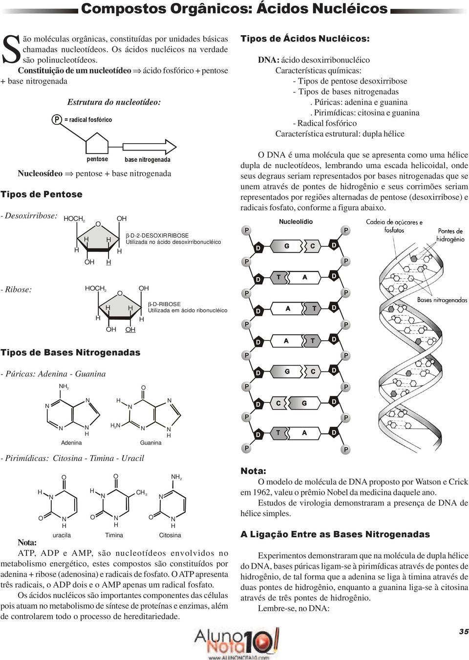 - esoxirribose: 2 β--2-esxiibse Utilizada no ácido desoxirribonucléico Tipos de Ácidos ucléicos: A: ácido desoxirribonucléico aracterísticas químicas: - Tipos de pentose desoxirribose - Tipos de