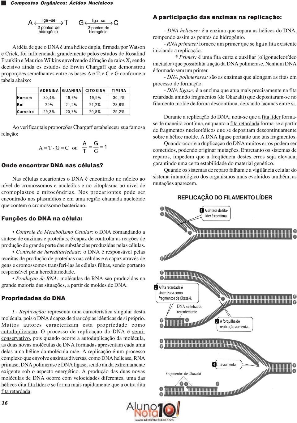 conforme a tabela abaixo: AE IA G UAIA IT S IA TIM IA om em 30,4% 19,6% 19,9% 30,1% Boi 29% 21,2% 21,2% 28,6% arn eiro 29,3% 20,7% 20,8% 29,2% Ao verificar tais proporções hargaff estabeleceu sua