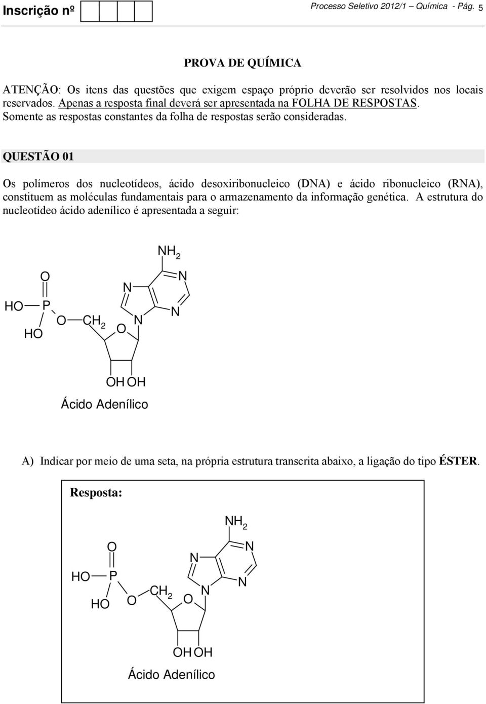 QUESTÃ 01 s polímeros dos nucleotídeos, ácido desoxiribonucleico (DA) e ácido ribonucleico (RA), constituem as moléculas fundamentais para o armazenamento da