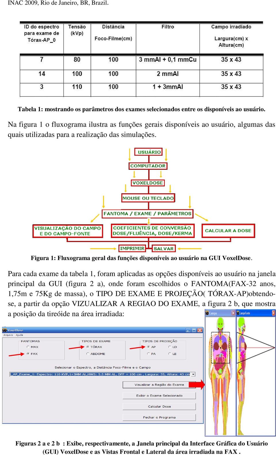 Figura 1: Fluxograma geral das funções disponíveis ao usuário na GUI VoxelDose.