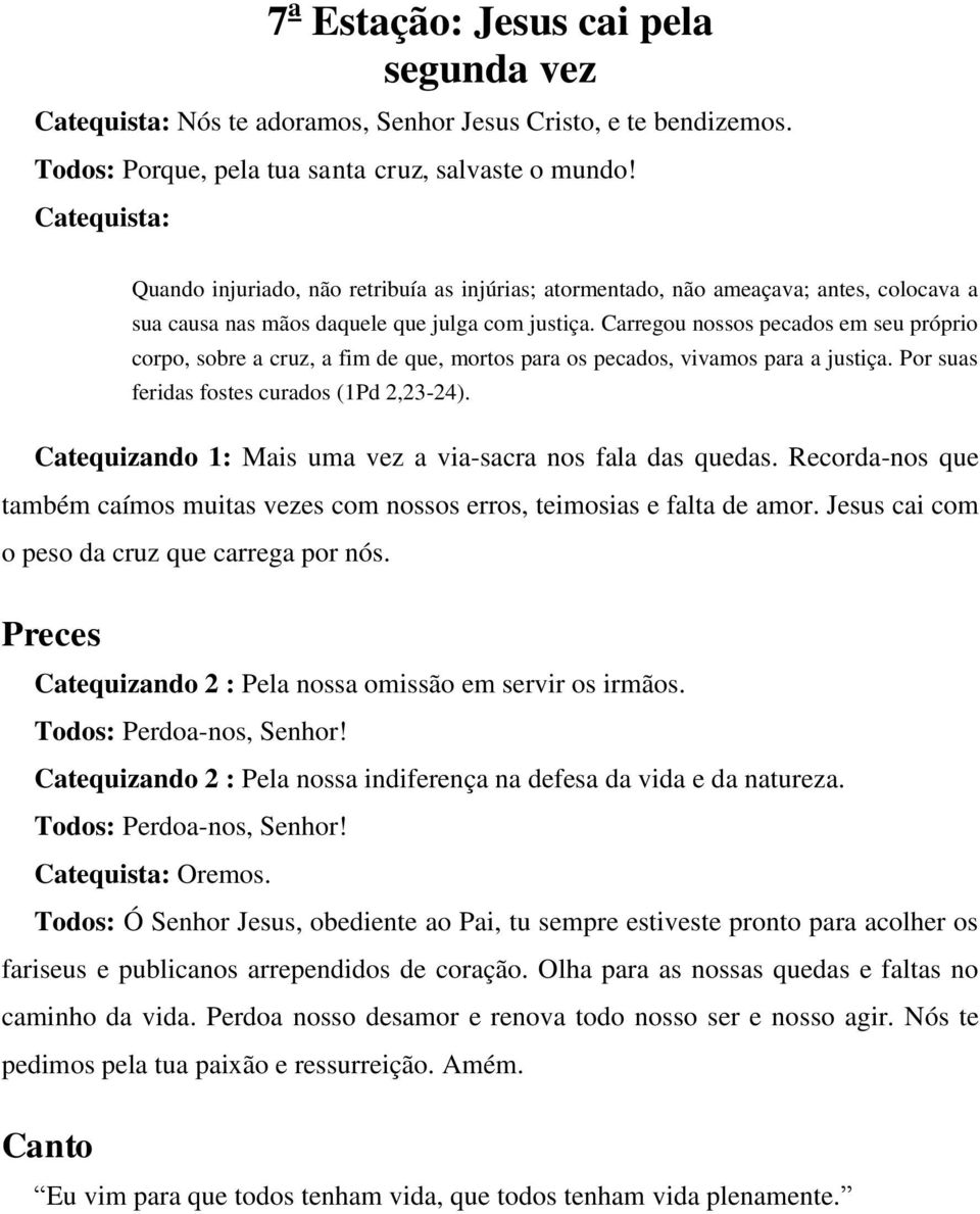 Catequizando 1: Mais uma vez a via-sacra nos fala das quedas. Recorda-nos que também caímos muitas vezes com nossos erros, teimosias e falta de amor. Jesus cai com o peso da cruz que carrega por nós.