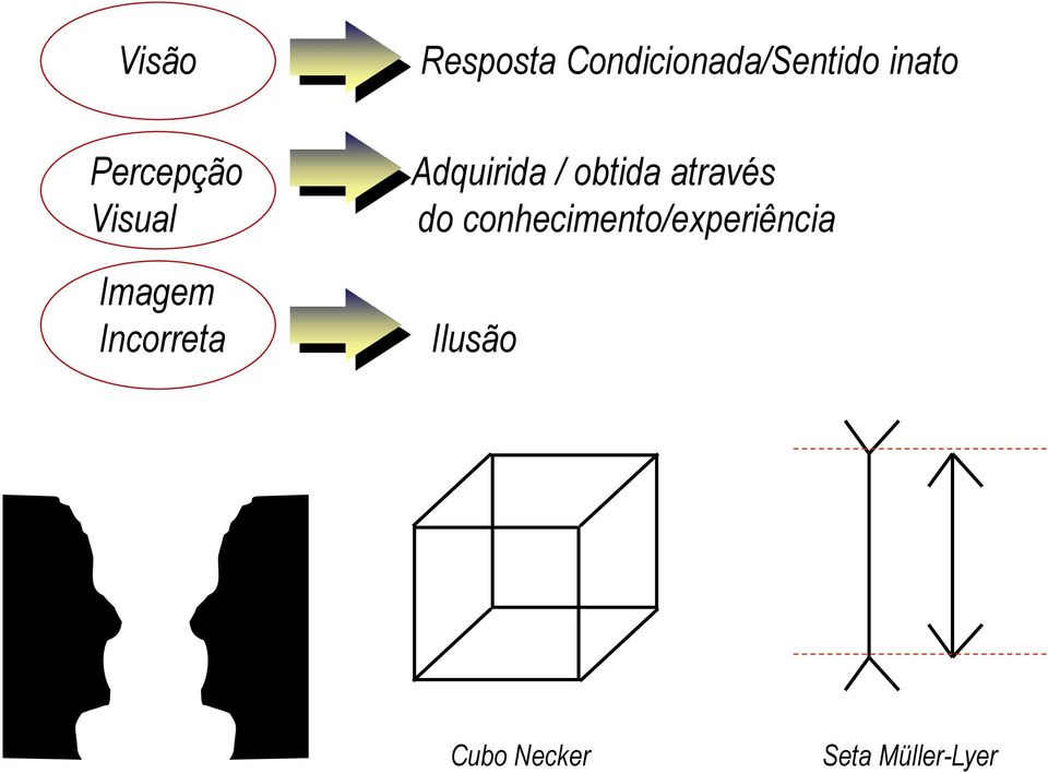 Adquirida / obtida através do