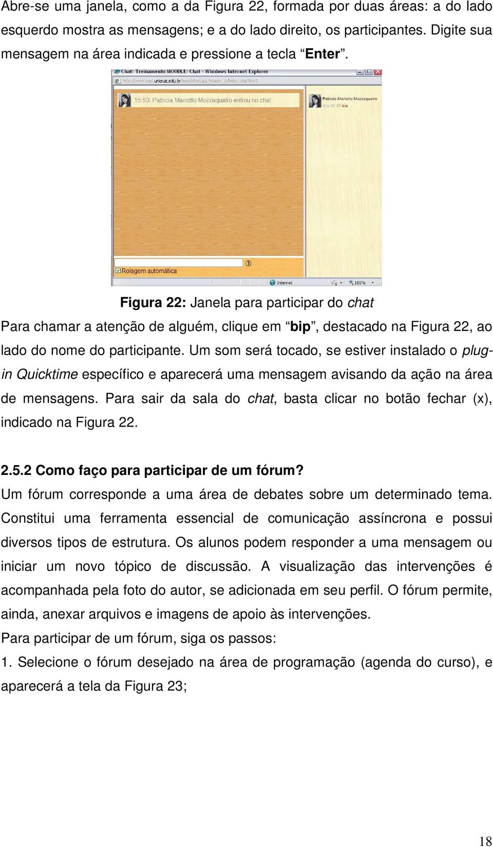 Figura 22: Janela para participar do chat Para chamar a atenção de alguém, clique em bip, destacado na Figura 22, ao lado do nome do participante.