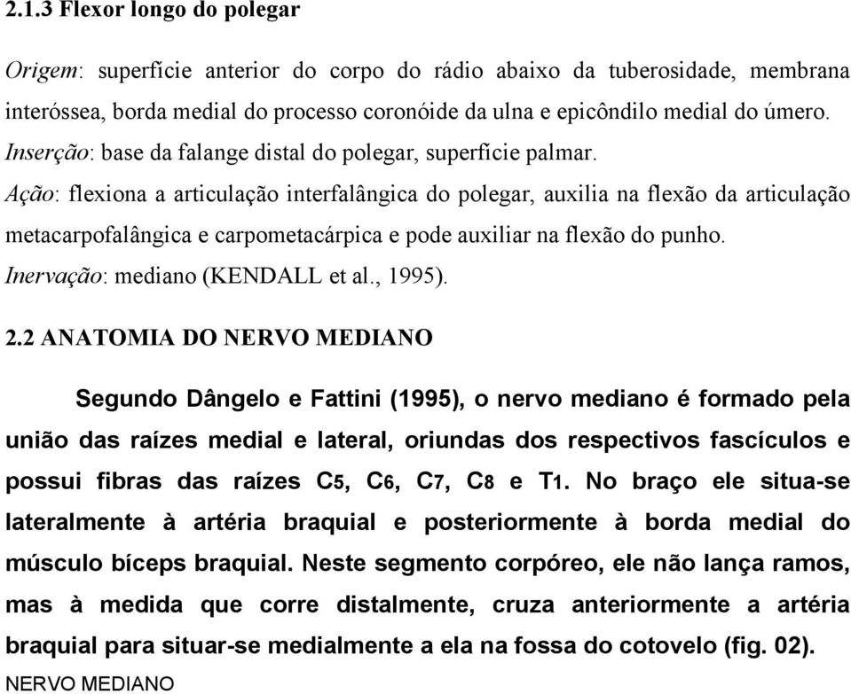 Ação: flexiona a articulação interfalângica do polegar, auxilia na flexão da articulação metacarpofalângica e carpometacárpica e pode auxiliar na flexão do punho. Inervação: mediano (KENDALL et al.