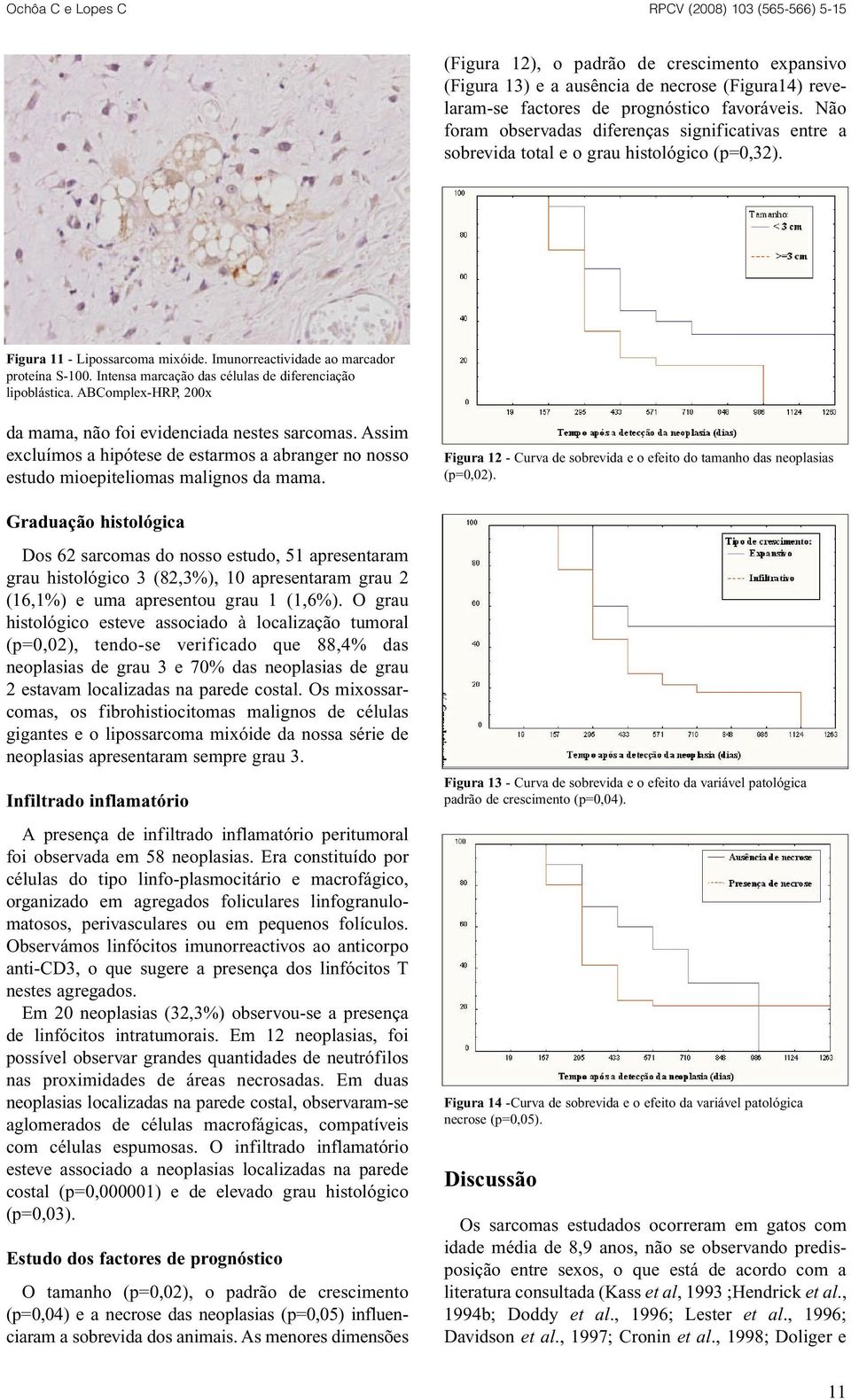 Intensa marcação das células de diferenciação lipoblástica. ABComplex-HRP, 200x da mama, não foi evidenciada nestes sarcomas.