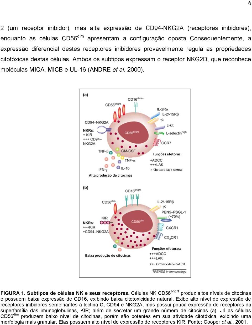 FIGURA 1. Subtipos de células NK e seus receptores. Células NK CD56 bright produz altos níveis de citocinas e possuem baixa expressão de CD16, exibindo baixa citotoxicidade natural.
