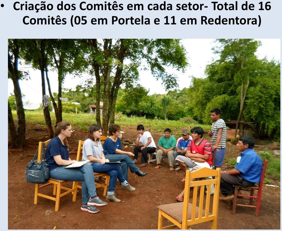 de 16 Comitês (05 em