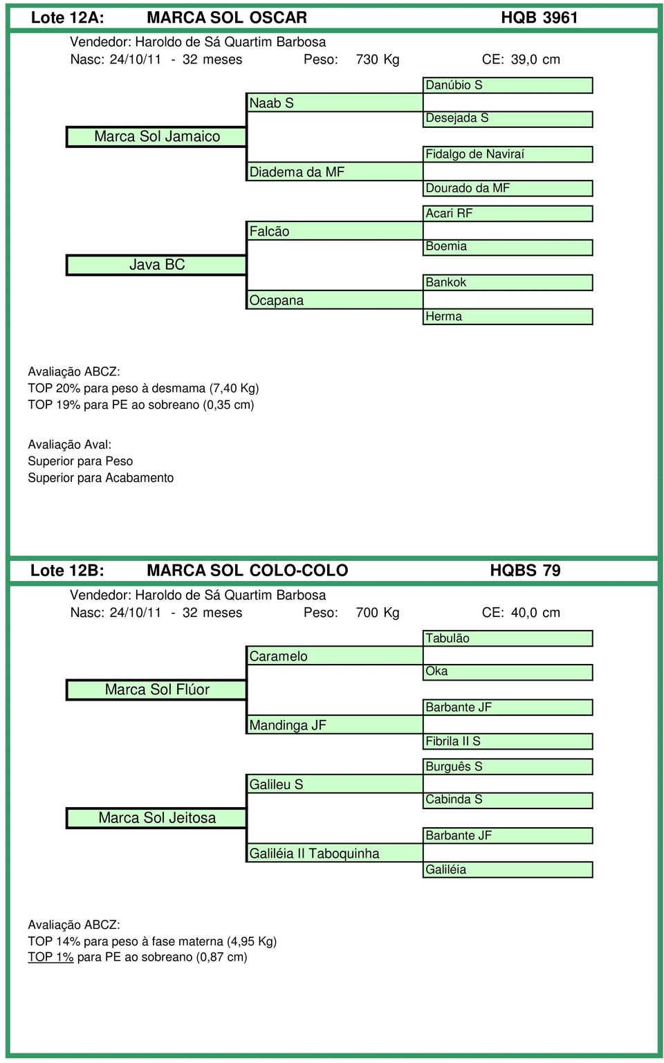 12B: MARCA SOL COLO-COLO HQBS 79 Nasc: 24/10/11-32 meses Peso: 700 Kg CE: 40,0 cm Marca Sol Flúor Marca Sol Jeitosa Caramelo Mandinga JF Galileu S